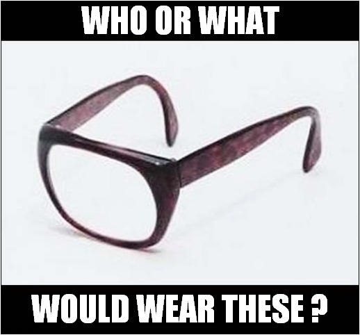 Curiosity ? |  WHO OR WHAT; WOULD WEAR THESE ? | image tagged in curiosity,glasses,questions | made w/ Imgflip meme maker