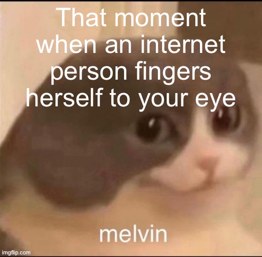 I think you can guess  who | That moment when an internet person fingers herself to your eye | image tagged in melvin | made w/ Imgflip meme maker