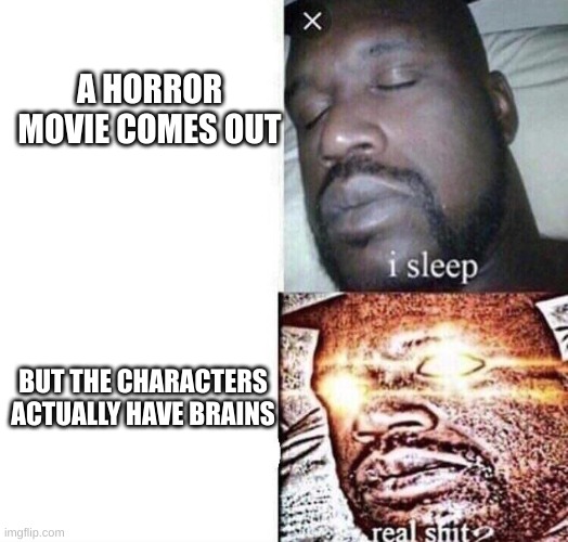hi there : ) |  A HORROR MOVIE COMES OUT; BUT THE CHARACTERS ACTUALLY HAVE BRAINS | image tagged in real shit,memes | made w/ Imgflip meme maker
