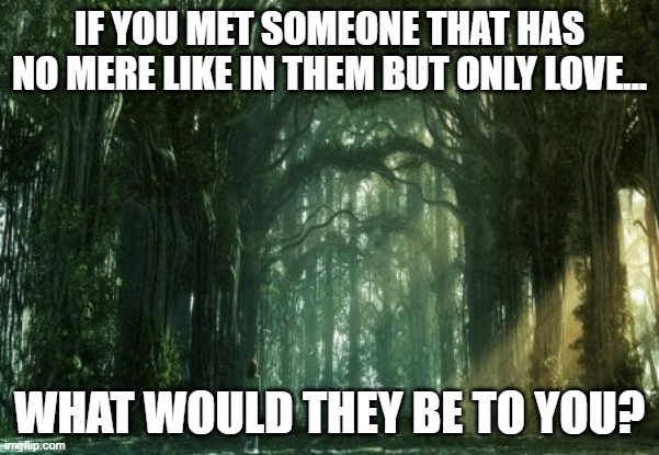 Love at the end of the forest | IF YOU MET SOMEONE THAT HAS NO MERE LIKE IN THEM BUT ONLY LOVE... WHAT WOULD THEY BE TO YOU? | image tagged in love | made w/ Imgflip meme maker