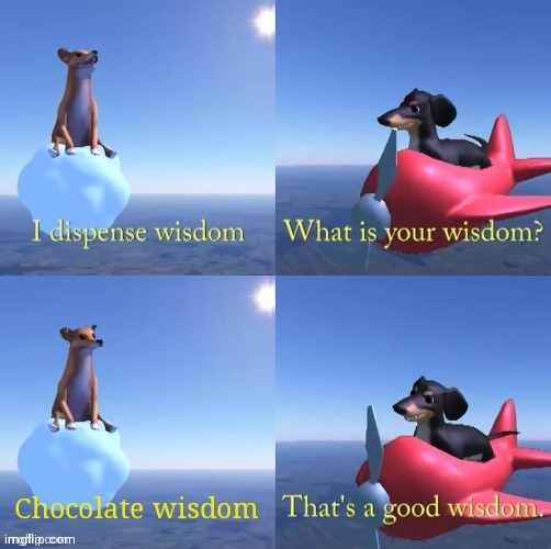 Chocolate is good. Get it? |  Chocolate wisdom | image tagged in wisdom dog | made w/ Imgflip meme maker