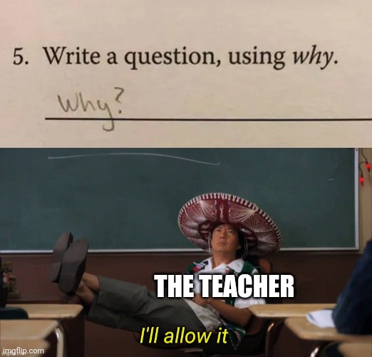 THE TEACHER | image tagged in i'll allow it | made w/ Imgflip meme maker