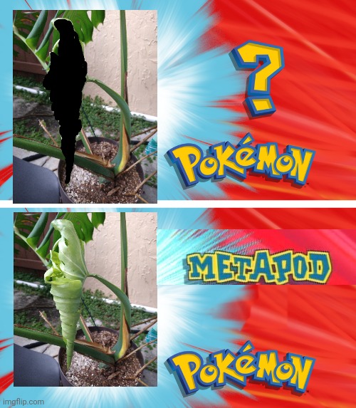 Who's that Pokemon? It's Metapod | image tagged in plants,pokemon | made w/ Imgflip meme maker