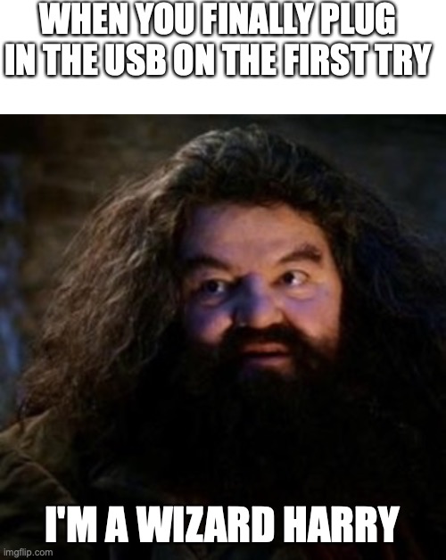 WHEN YOU FINALLY PLUG IN THE USB ON THE FIRST TRY; I'M A WIZARD HARRY | image tagged in blank white template,you're a wizard harry | made w/ Imgflip meme maker
