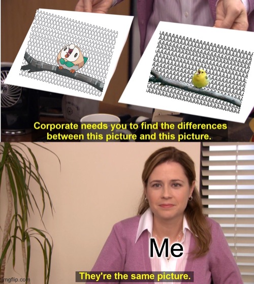 Both of them are the best pictures I have on my phone (other then pictures of me and my b o i :flushed: :flushed: :flushed:) | Me | image tagged in memes,they're the same picture | made w/ Imgflip meme maker
