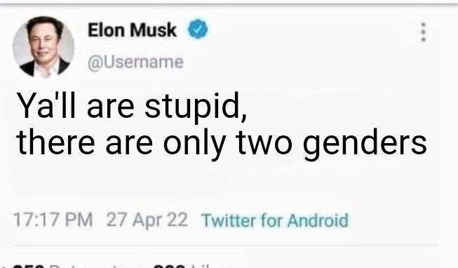 Elon Musk | Ya'll are stupid, there are only two genders | image tagged in elon musk | made w/ Imgflip meme maker