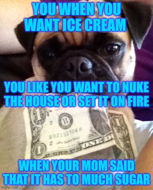 Pug with money | YOU WHEN YOU WANT ICE CREAM; YOU LIKE YOU WANT TO NUKE THE HOUSE OR SET IT ON FIRE; WHEN YOUR MOM SAID THAT IT HAS TO MUCH SUGAR | image tagged in pug with money | made w/ Imgflip meme maker