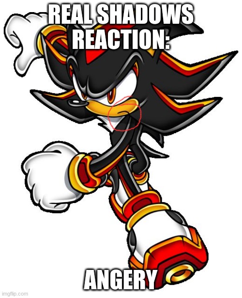 Shadow the hedgehog | REAL SHADOWS REACTION: ANGERY | image tagged in shadow the hedgehog | made w/ Imgflip meme maker