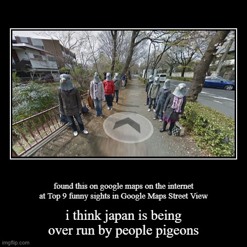 funny google map sightings | image tagged in funny,demotivationals,google maps,funny google map sightings,funny pigeon people | made w/ Imgflip demotivational maker