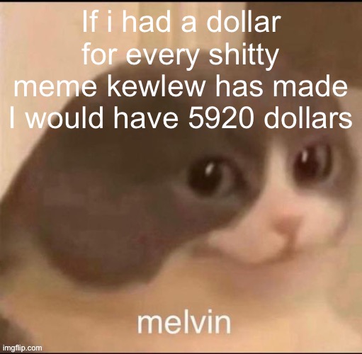 M | If i had a dollar for every shitty meme kewlew has made
I would have 5920 dollars | image tagged in melvin | made w/ Imgflip meme maker