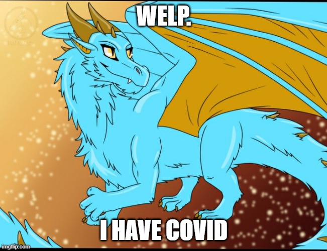 Sky Dragon | WELP. I HAVE COVID | image tagged in sky dragon | made w/ Imgflip meme maker