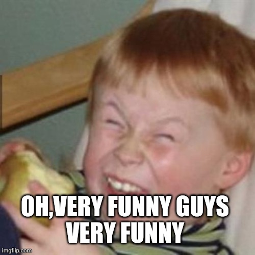 laughing kid | OH,VERY FUNNY GUYS 
VERY FUNNY | image tagged in laughing kid | made w/ Imgflip meme maker