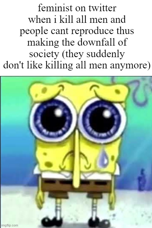 Sad Spongebob | feminist on twitter when i kill all men and people cant reproduce thus making the downfall of society (they suddenly don't like killing all men anymore) | image tagged in sad spongebob | made w/ Imgflip meme maker