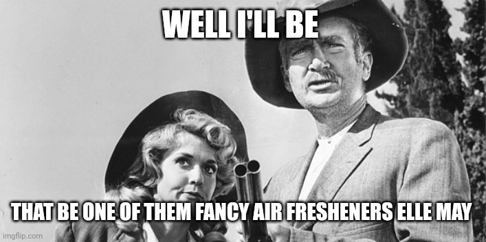 Beverly Hillbillies | WELL I'LL BE THAT BE ONE OF THEM FANCY AIR FRESHENERS ELLE MAY | image tagged in beverly hillbillies | made w/ Imgflip meme maker
