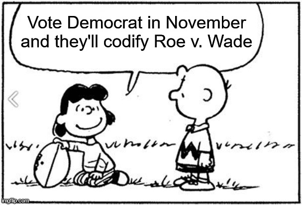 Democrats, not codifying Roe v. Wade since 1973 | Vote Democrat in November and they'll codify Roe v. Wade | image tagged in charlie brown football,pro choice,democrats,roe v wade,abortion | made w/ Imgflip meme maker