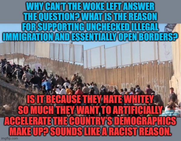 Supporters of open borders have racist motives | WHY CAN’T THE WOKE LEFT ANSWER THE QUESTION? WHAT IS THE REASON FOR SUPPORTING UNCHECKED ILLEGAL IMMIGRATION AND ESSENTIALLY OPEN BORDERS? IS IT BECAUSE THEY HATE WHITEY SO MUCH THEY WANT TO ARTIFICIALLY ACCELERATE THE COUNTRY’S DEMOGRAPHICS MAKE UP? SOUNDS LIKE A RACIST REASON. | image tagged in illegal immigrants,looney left,hate whitey,accelerate the browning,no nations no borders | made w/ Imgflip meme maker