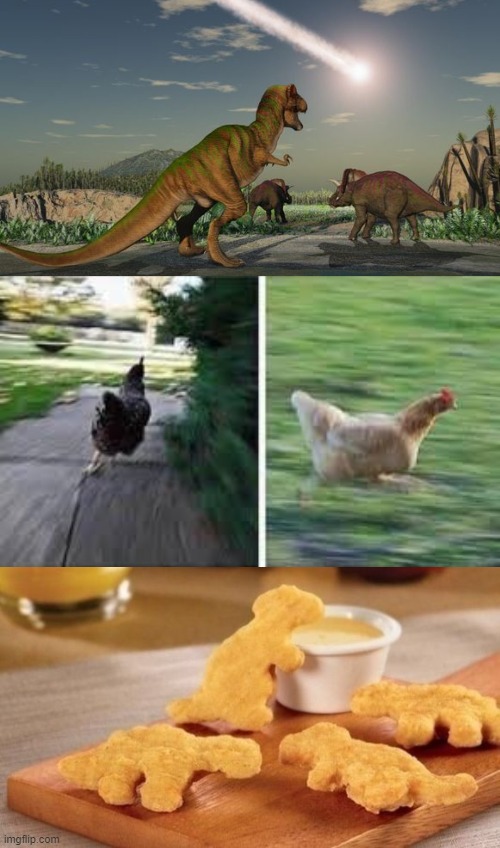 image tagged in dinosaurs meteor,running chicken,dino nuggets,evolution | made w/ Imgflip meme maker