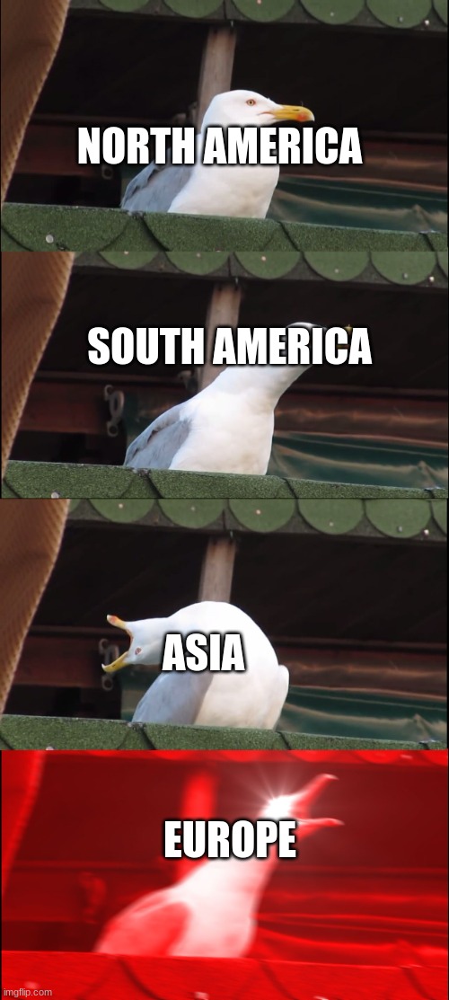 Inhaling Seagull Meme | NORTH AMERICA; SOUTH AMERICA; ASIA; EUROPE | image tagged in memes,inhaling seagull | made w/ Imgflip meme maker