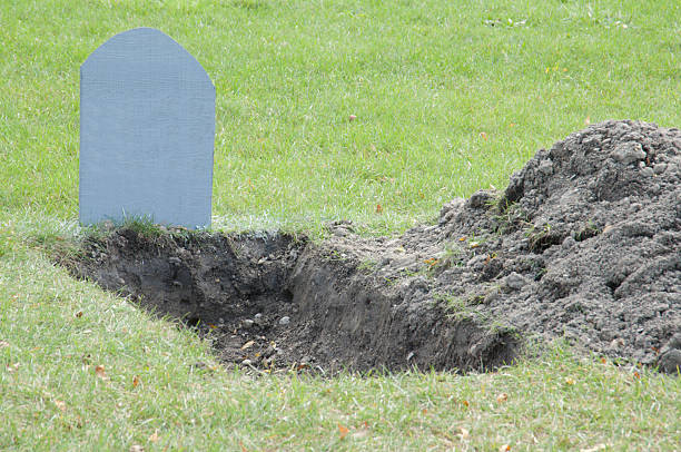 High Quality Grave hole Blank Meme Template