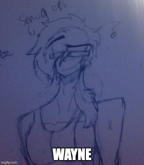 ah yes wayne (used for rp) | WAYNE | made w/ Imgflip meme maker