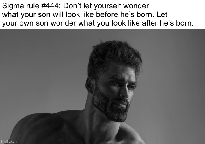 In other words: get the milk | Sigma rule #444: Don’t let yourself wonder what your son will look like before he’s born. Let your own son wonder what you look like after he’s born. | image tagged in chad sigma | made w/ Imgflip meme maker