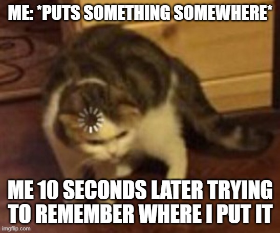 Loading cat | ME: *PUTS SOMETHING SOMEWHERE* ME 10 SECONDS LATER TRYING TO REMEMBER WHERE I PUT IT | image tagged in loading cat | made w/ Imgflip meme maker