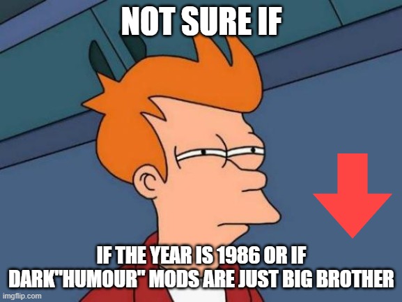 jorjor well | NOT SURE IF; IF THE YEAR IS 1986 OR IF DARK"HUMOUR" MODS ARE JUST BIG BROTHER | image tagged in memes,futurama fry | made w/ Imgflip meme maker
