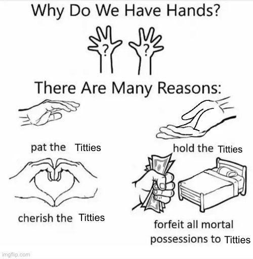 Why do we have hands? (all blank) | Titties; Titties; Titties; Titties | image tagged in why do we have hands all blank | made w/ Imgflip meme maker
