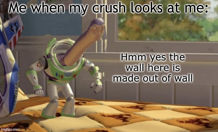 I sometimes blush | Me when my crush looks at me: | image tagged in hmm yes the wall here is made out of wall | made w/ Imgflip meme maker