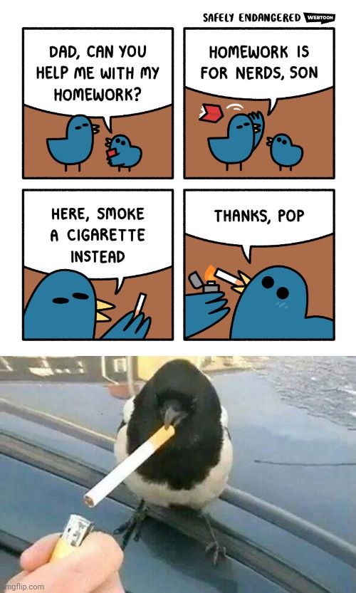 Smoking | image tagged in piebald crow smoking a cigarette,cigarette,smoking,comic,memes,meme | made w/ Imgflip meme maker