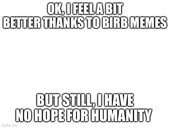 B i r b | OK, I FEEL A BIT BETTER THANKS TO BIRB MEMES; BUT STILL, I HAVE NO HOPE FOR HUMANITY | image tagged in blank white template | made w/ Imgflip meme maker