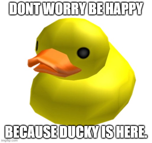 nice ducky | DONT WORRY BE HAPPY; BECAUSE DUCKY IS HERE. | image tagged in idk | made w/ Imgflip meme maker