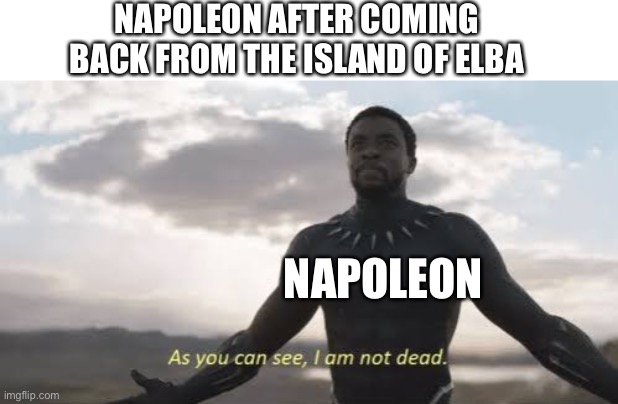 As you can see, i am not dead | NAPOLEON AFTER COMING BACK FROM THE ISLAND OF ELBA NAPOLEON | image tagged in as you can see i am not dead,napoleon | made w/ Imgflip meme maker