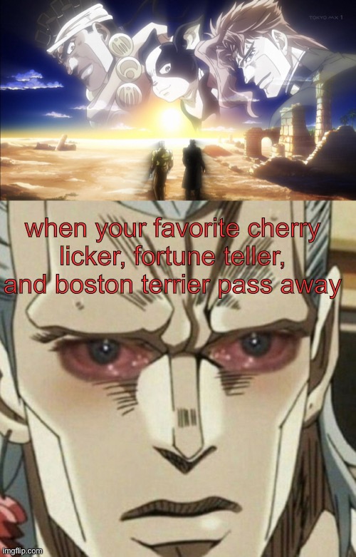 polnareff? | when your favorite cherry licker, fortune teller, and boston terrier pass away | image tagged in anime meme | made w/ Imgflip meme maker