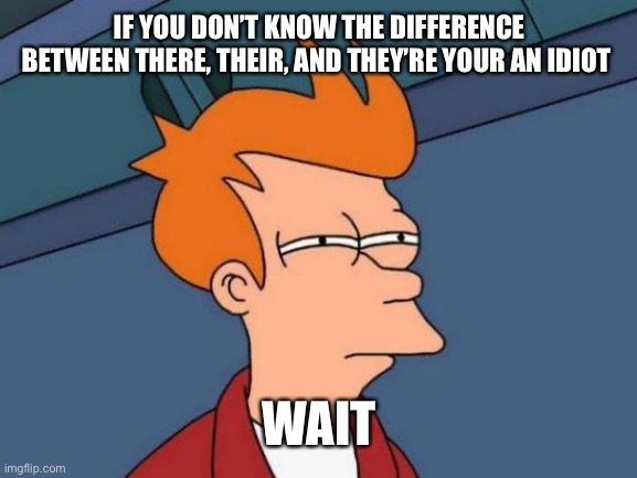 Upvote if you get it | IF YOU DON’T KNOW THE DIFFERENCE BETWEEN THERE, THEIR, AND THEY’RE YOUR AN IDIOT; WAIT | image tagged in memes,futurama fry,grammar | made w/ Imgflip meme maker