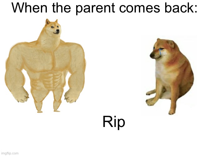 Buff Doge vs. Cheems Meme | When the parent comes back: Rip | image tagged in memes,buff doge vs cheems | made w/ Imgflip meme maker
