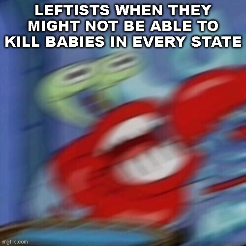 Mr krabs blur | LEFTISTS WHEN THEY MIGHT NOT BE ABLE TO KILL BABIES IN EVERY STATE | image tagged in mr krabs blur | made w/ Imgflip meme maker