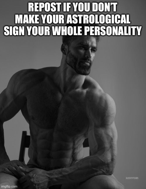 Screw those people | REPOST IF YOU DON’T MAKE YOUR ASTROLOGICAL SIGN YOUR WHOLE PERSONALITY | image tagged in giga chad | made w/ Imgflip meme maker