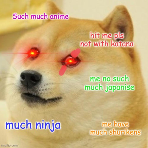 Doge Meme | Such much anime; hit me pls not with katana; me no such much japanise; me have much shurikens; much ninja | image tagged in memes,doge | made w/ Imgflip meme maker