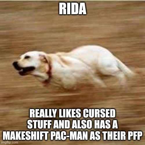 Rida | RIDA; REALLY LIKES CURSED STUFF AND ALSO HAS A MAKESHIFT PAC-MAN AS THEIR PFP | image tagged in speedy doggo | made w/ Imgflip meme maker