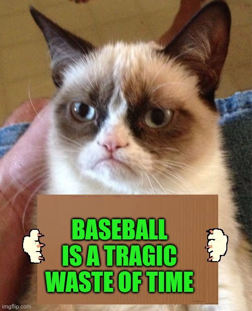 Change My Mind | BASEBALL IS A TRAGIC WASTE OF TIME | image tagged in grumpy cat cardboard sign,fat girl running,tuesday,toronto blue jays | made w/ Imgflip meme maker