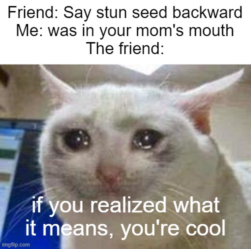 *A cool title* | Friend: Say stun seed backward
Me: was in your mom's mouth
The friend:; if you realized what it means, you're cool | image tagged in sad cat,memes | made w/ Imgflip meme maker