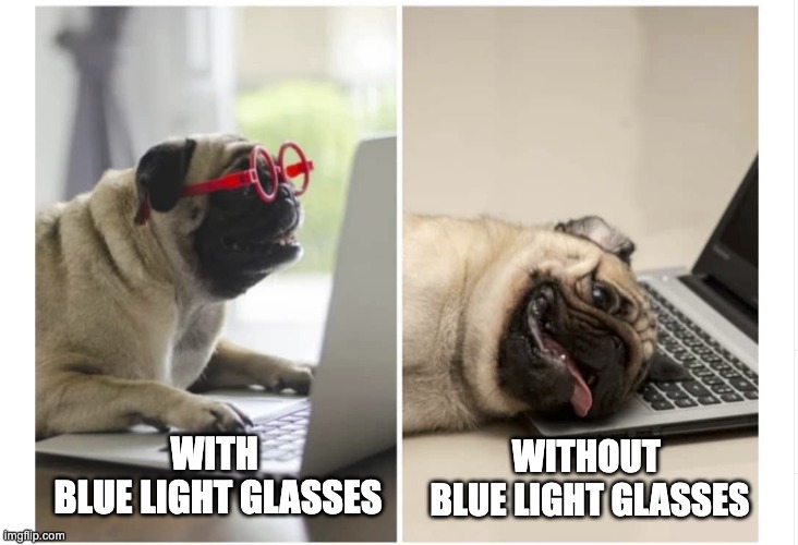 Blue Light glasses | WITHOUT 
BLUE LIGHT GLASSES; WITH 
BLUE LIGHT GLASSES | image tagged in zoom struggle | made w/ Imgflip meme maker