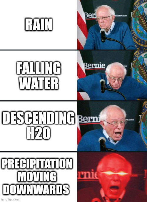 Bernie rain | RAIN; FALLING WATER; DESCENDING H2O; PRECIPITATION MOVING DOWNWARDS | image tagged in 4 panel bernie sanders reaction | made w/ Imgflip meme maker