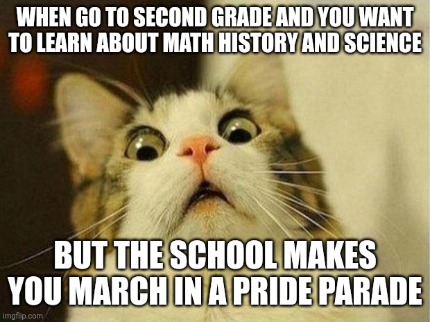 Scared Cat | WHEN GO TO SECOND GRADE AND YOU WANT TO LEARN ABOUT MATH HISTORY AND SCIENCE; BUT THE SCHOOL MAKES YOU MARCH IN A PRIDE PARADE | image tagged in memes,scared cat | made w/ Imgflip meme maker