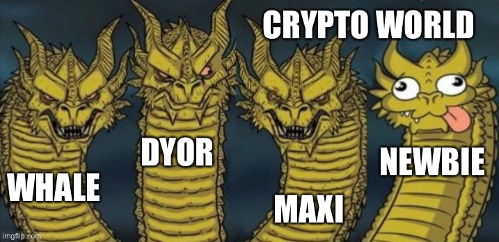 Crypto |  CRYPTO WORLD; DYOR; NEWBIE; WHALE; MAXI | image tagged in dragon | made w/ Imgflip meme maker