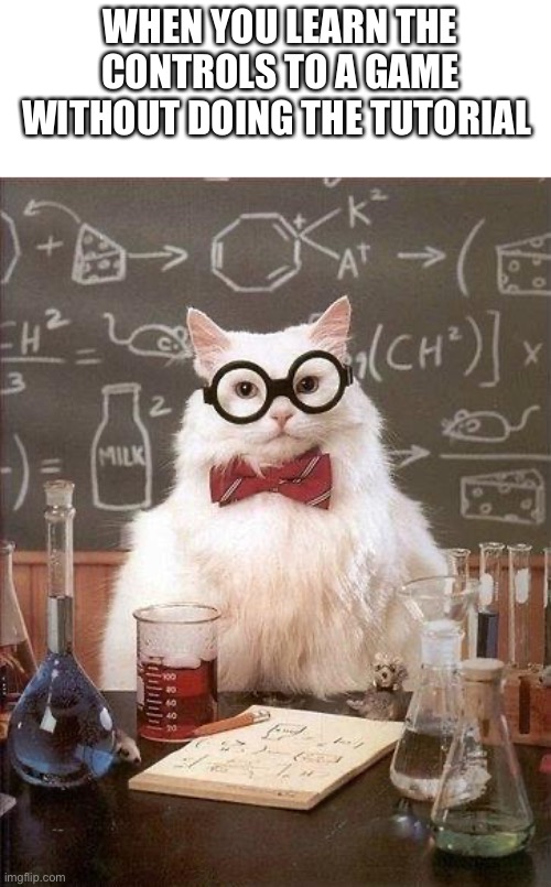 Chemistry Cat |  WHEN YOU LEARN THE CONTROLS TO A GAME WITHOUT DOING THE TUTORIAL | image tagged in chemistry cat | made w/ Imgflip meme maker