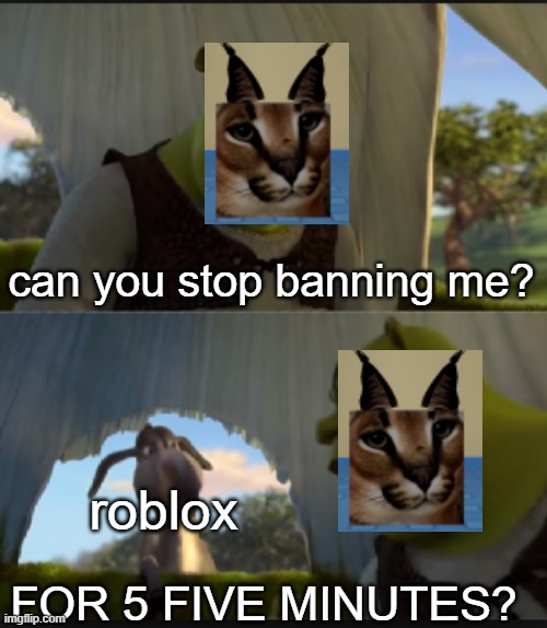 idk if someone made this meme yet | can you stop banning me? roblox; FOR 5 FIVE MINUTES? | image tagged in can you stop talking | made w/ Imgflip meme maker