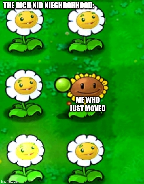 Missing marigold | THE RICH KID NIEGHBORHOOD:; ME WHO JUST MOVED | image tagged in pvz | made w/ Imgflip meme maker