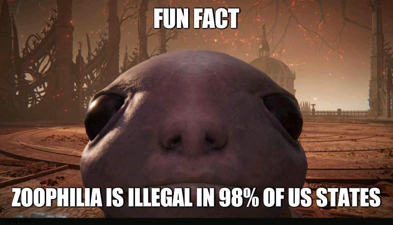 logic and reason | FUN FACT; ZOOPHILIA IS ILLEGAL IN 98% OF US STATES | made w/ Imgflip meme maker